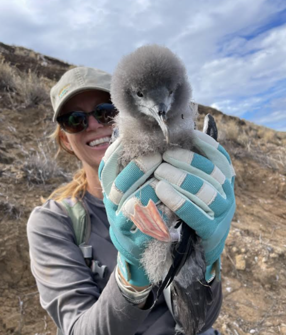 Saving Hawaii’s Seabirds with Dr. Jenni Learned